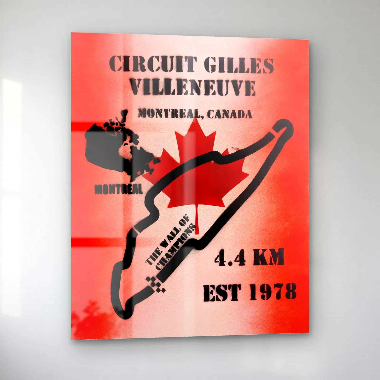 Grafiti Gilles Villeneuve Pisti cam tablo — sol açıdan görünüm