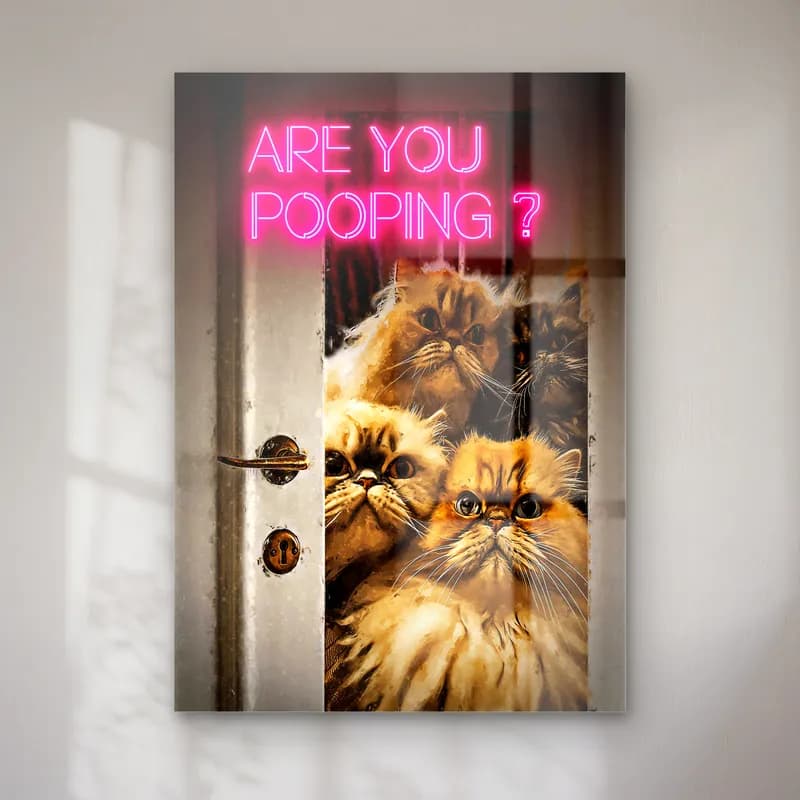 Are You Pooping Kediler cam tablo — Kapı aralığından bakan iran kedileri ve pembe neon Are You Pooping yazısı
