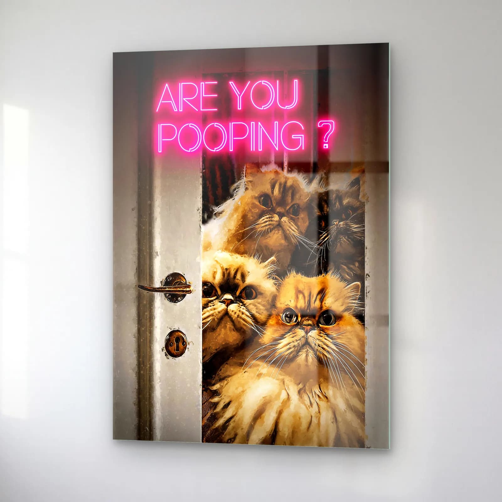 Are You Pooping Kediler cam tablo — sağ açıdan görünüm