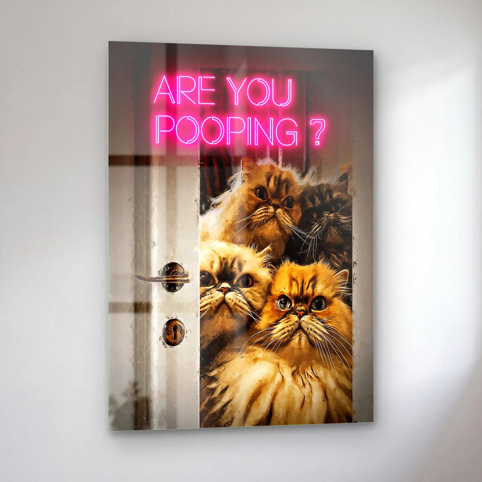 Are You Pooping Kediler cam tablo — sol açıdan görünüm