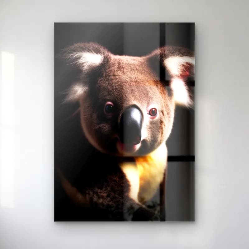 Sevimli Koala Yakın Plan cam tablo — Siyah fonda iri burunlu, gri kahve koala