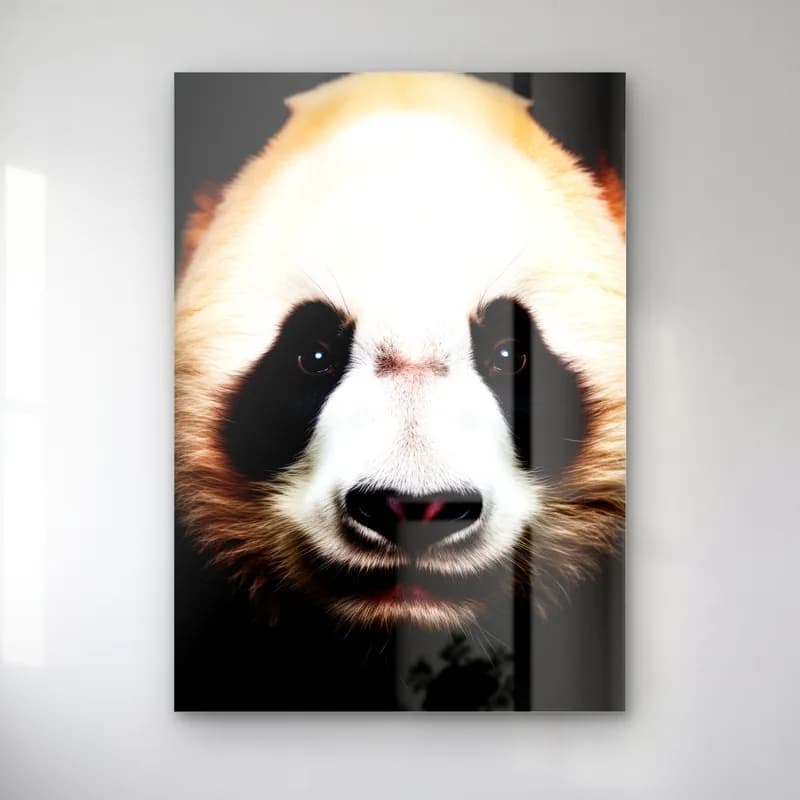 Yakın Plan Panda cam tablo — Tüm yüzeyi kaplayan yakın plan panda yüzü