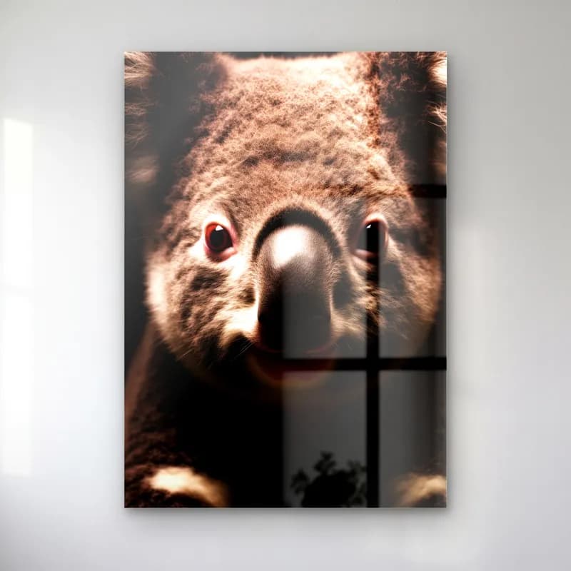 Koala Yüzü Yakın Plan cam tablo — Çerçeveyi dolduran kahverengi koala yüzü