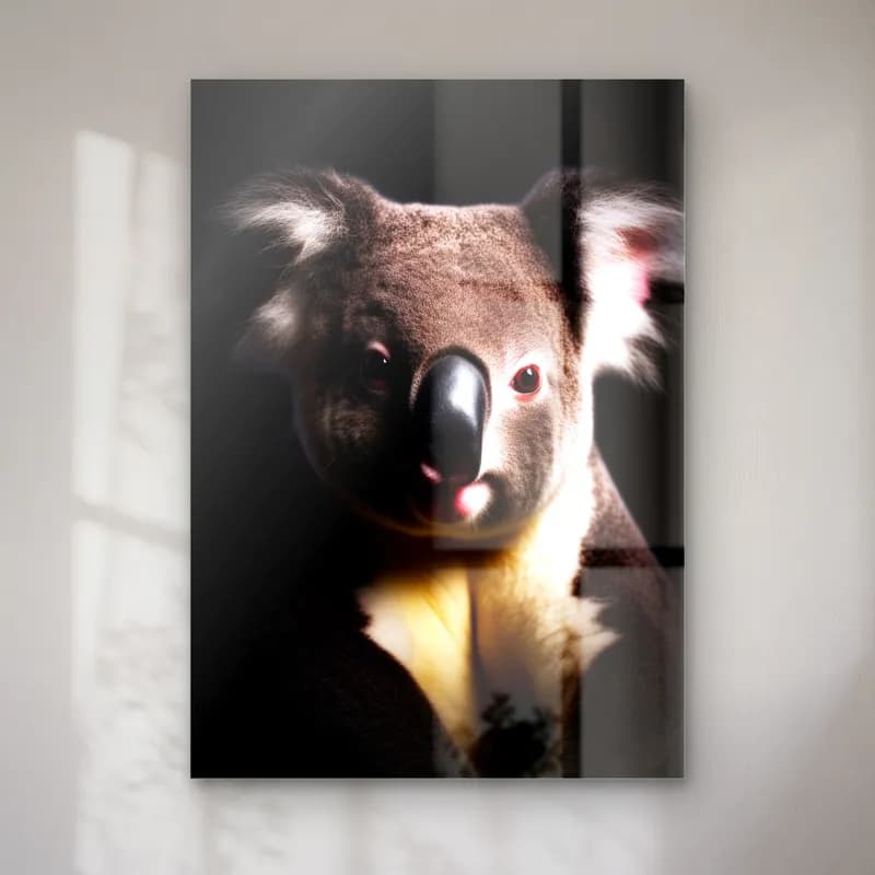 Loş Işıkta Koala cam tablo — Siyah fonda loş ışıkta gri koala