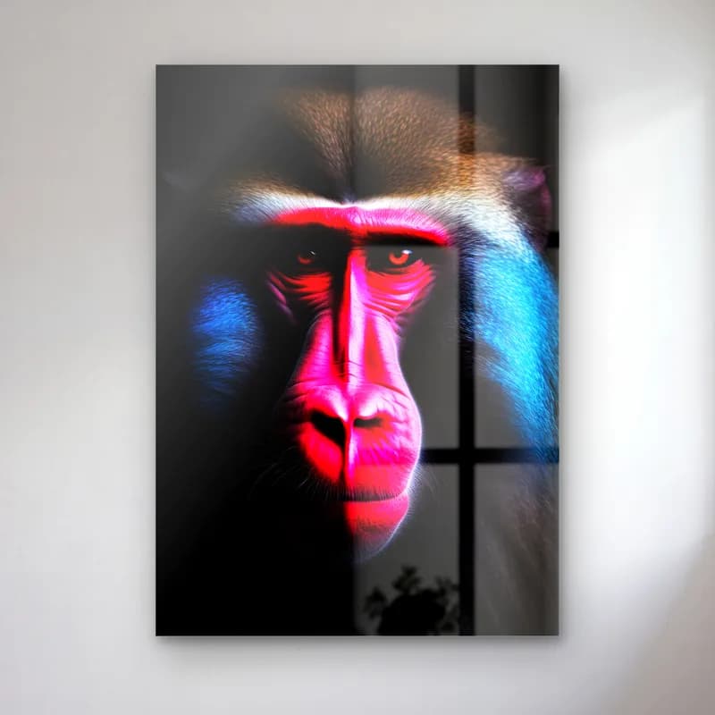 Pembe Mavi Mandril cam tablo — Siyah fonda pembe burunlu, mavi yanaklı mandril