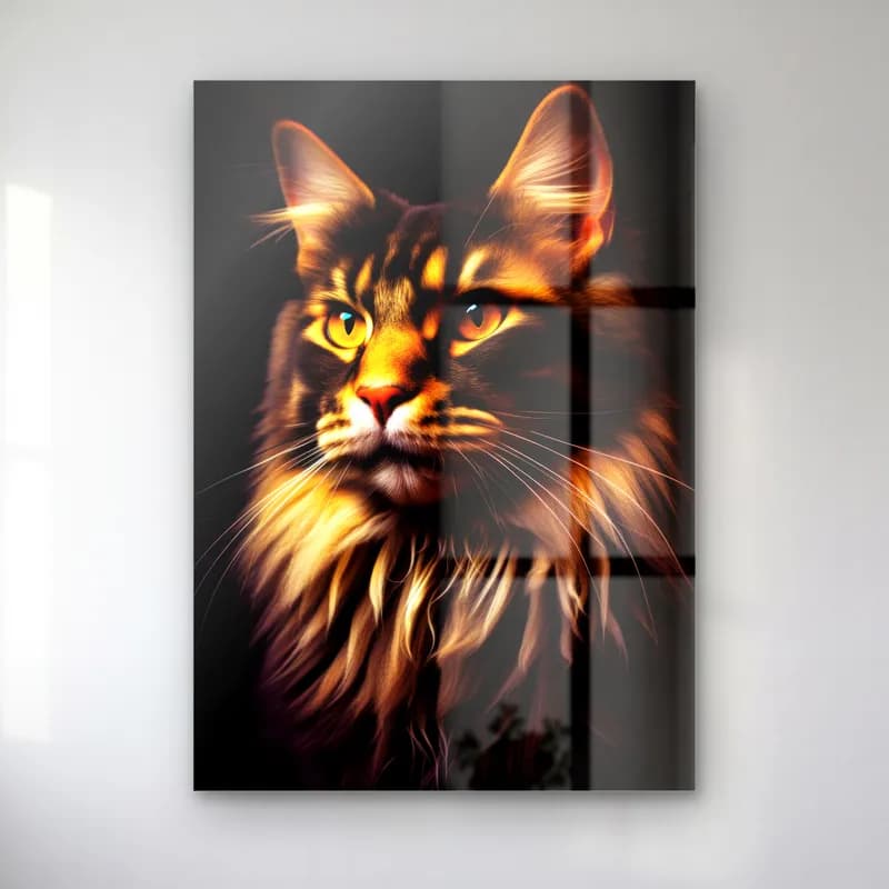 Maine Coon Kedi Portresi cam tablo — Siyah fonda uzun tüylü tekir Maine Coon kedi