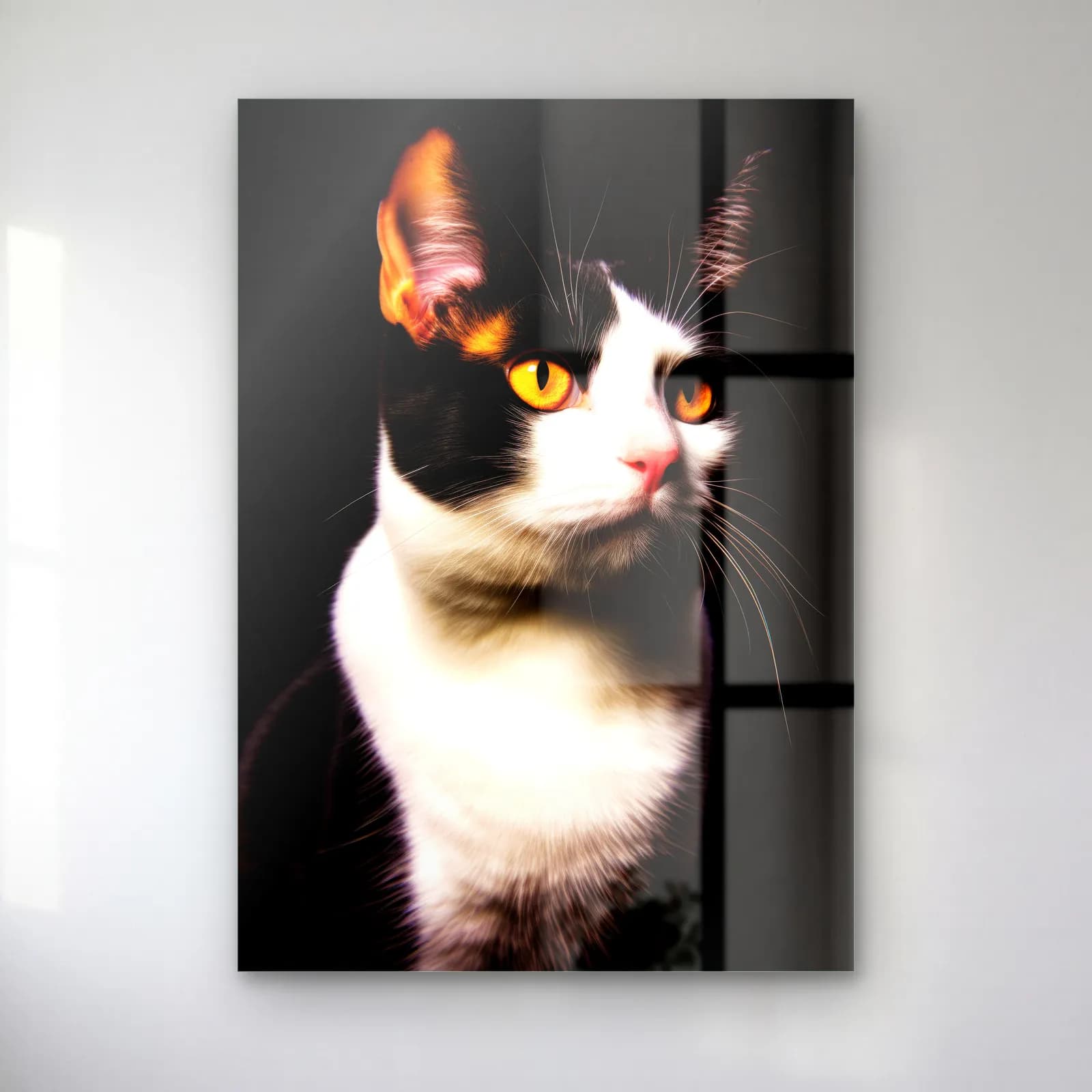 Oturan Siyah Beyaz Kedi cam tablo — Siyah fonda oturan siyah beyaz kedi