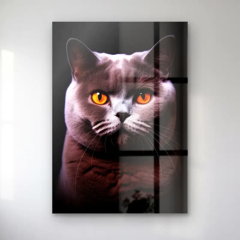British Shorthair Kedi cam tablo — Siyah fonda turuncu gözlü gri kedi