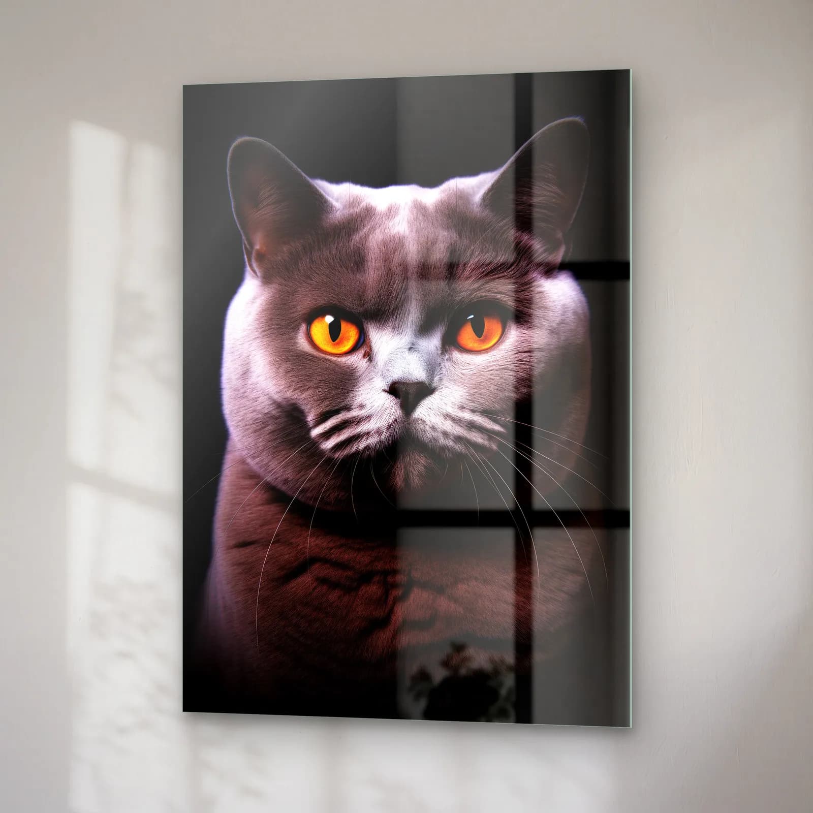 British Shorthair Kedi cam tablo — sağ açıdan görünüm