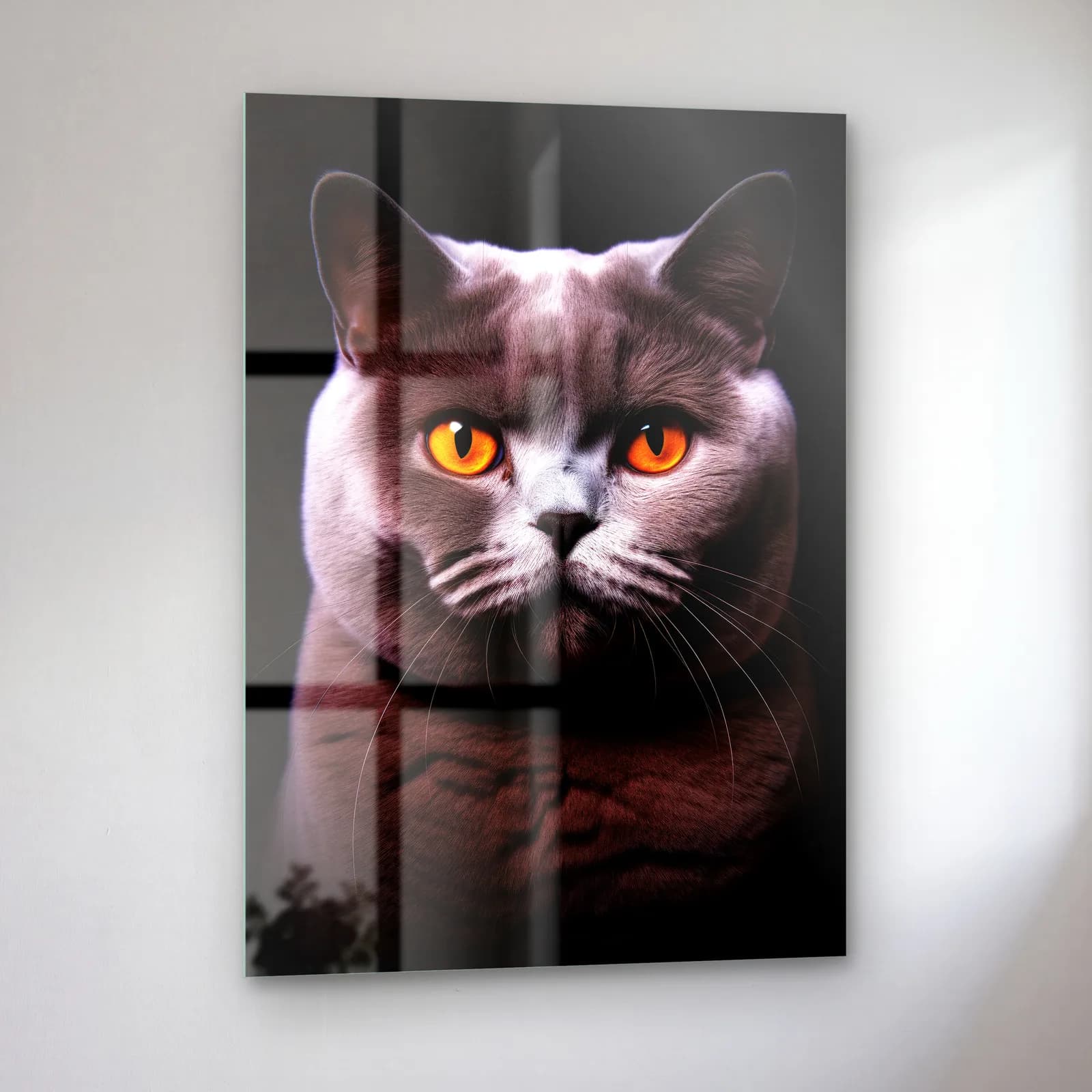 British Shorthair Kedi cam tablo — sol açıdan görünüm