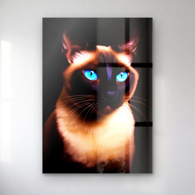 Siyam Kedi Portresi cam tablo — Siyah fonda mavi gözlü Siyam kedi portresi