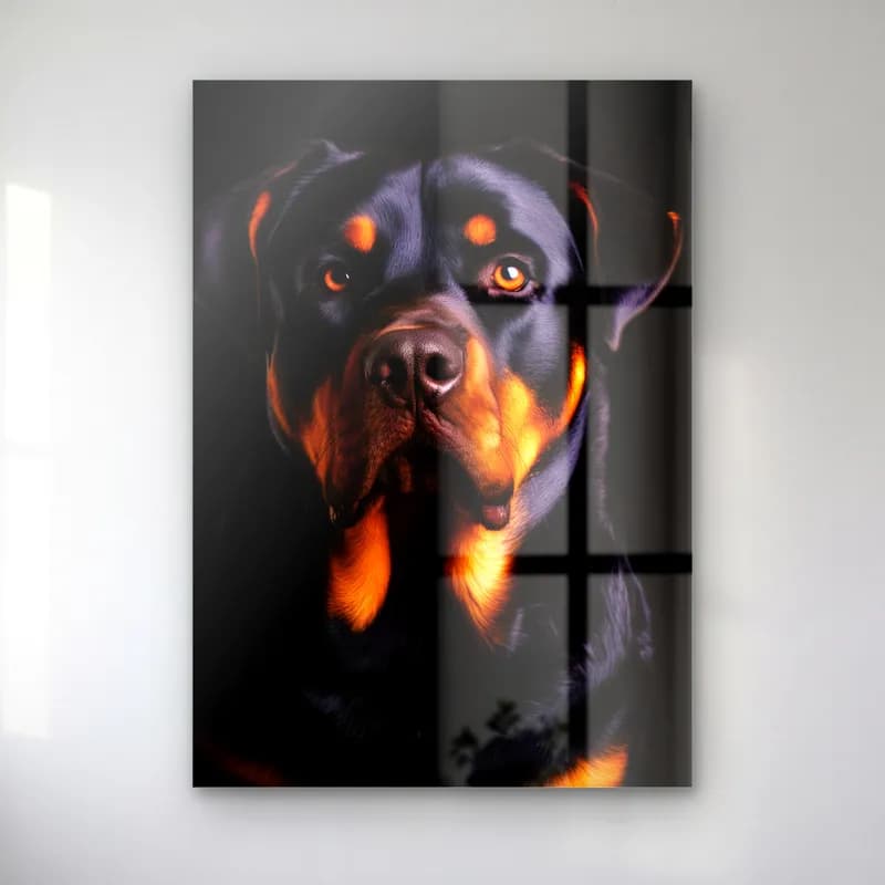 Rottweiler Portresi cam tablo — Siyah fonda kahverengi lekeli, dik bakışlı Rottweiler köpek portresi