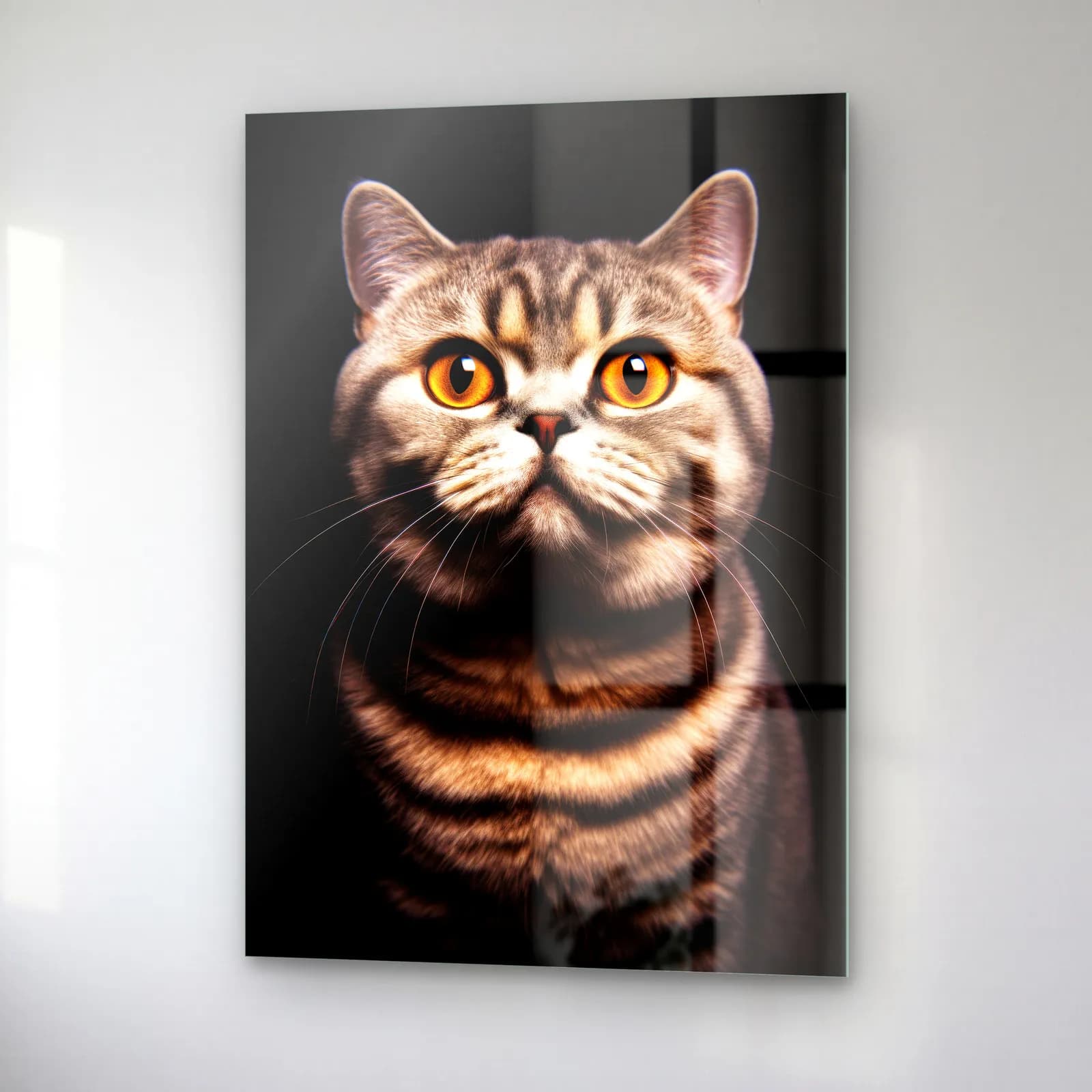 British Shorthair Tekir Kedi cam tablo — sağ açıdan görünüm