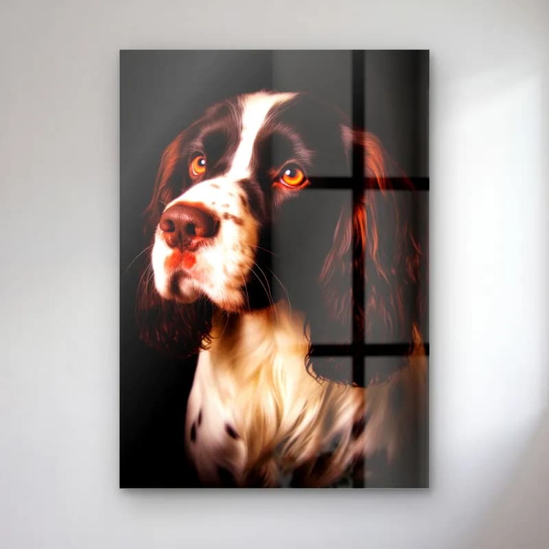Springer Spaniel Portresi cam tablo — Siyah fonda uzun kulaklı, kahverengi-beyaz benekli Springer Spaniel