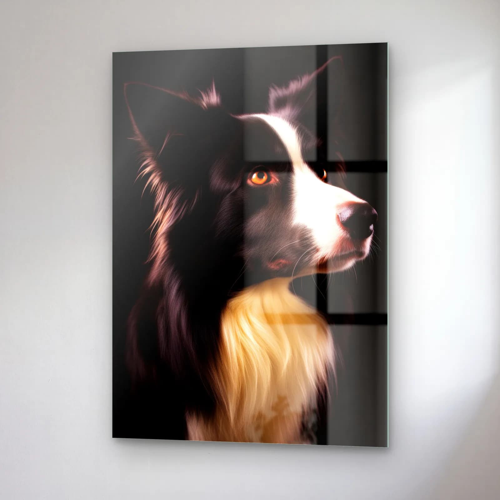 Border Collie Profil Portresi cam tablo — sağ açıdan görünüm