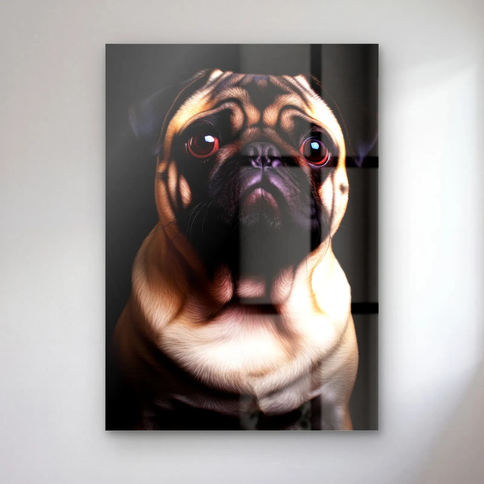 Pug Köpek Portresi cam tablo — Siyah fonda iri gözlü krem tüylü pug köpek