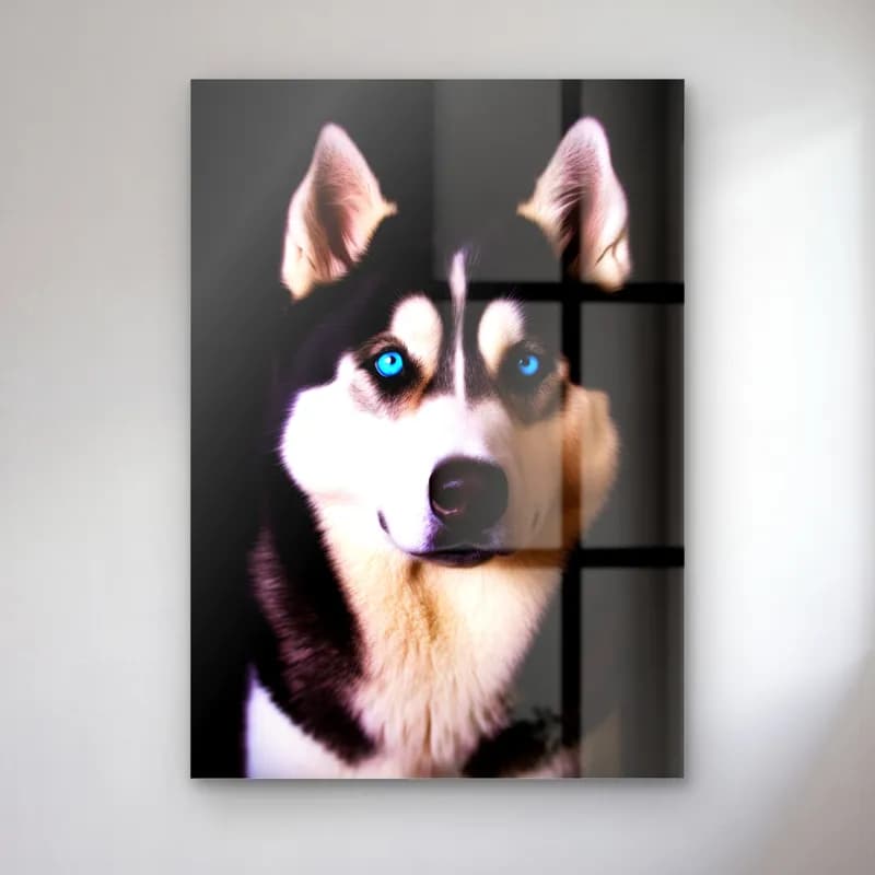 Mavi Gözlü Husky Portresi cam tablo — Siyah fonda mavi gözlü siyah beyaz husky portresi