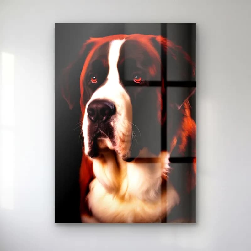 Saint Bernard Köpek Portresi cam tablo — Siyah fonda kızıl beyaz tüylü Saint Bernard köpek portresi