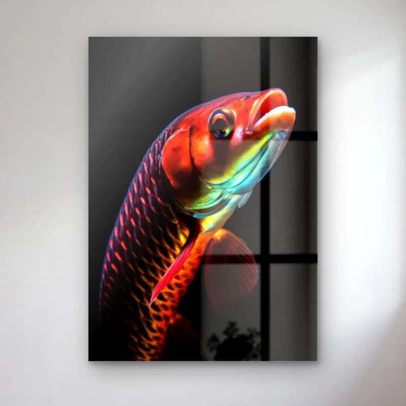 Kızıl Arowana Balığı cam tablo — Siyah fonda yukarı yüzen neon kızıl pullu arowana balığı