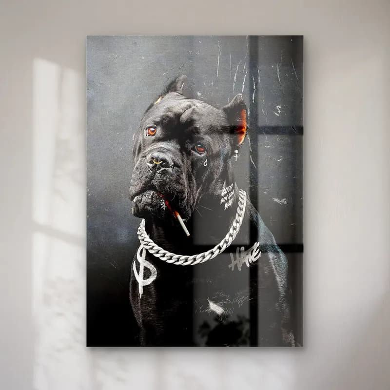 Sigaralı Cane Corso Portresi cam tablo — Koyu gri fonda ağzında sigara, boynunda dolar kolyesi olan siyah cane corso