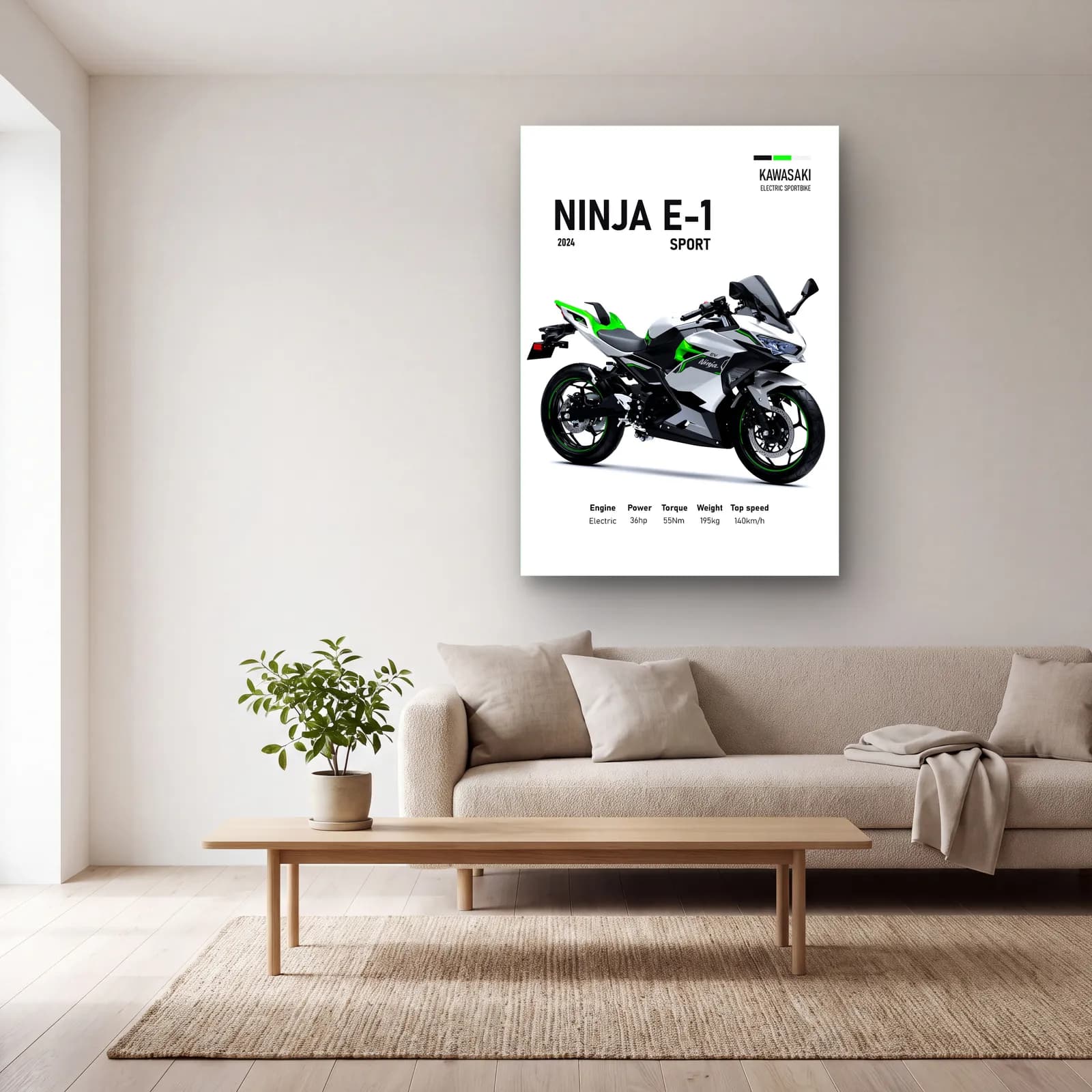 Kawasaki Ninja E-1 Sport 2024 cam tablo — açık renk salonda