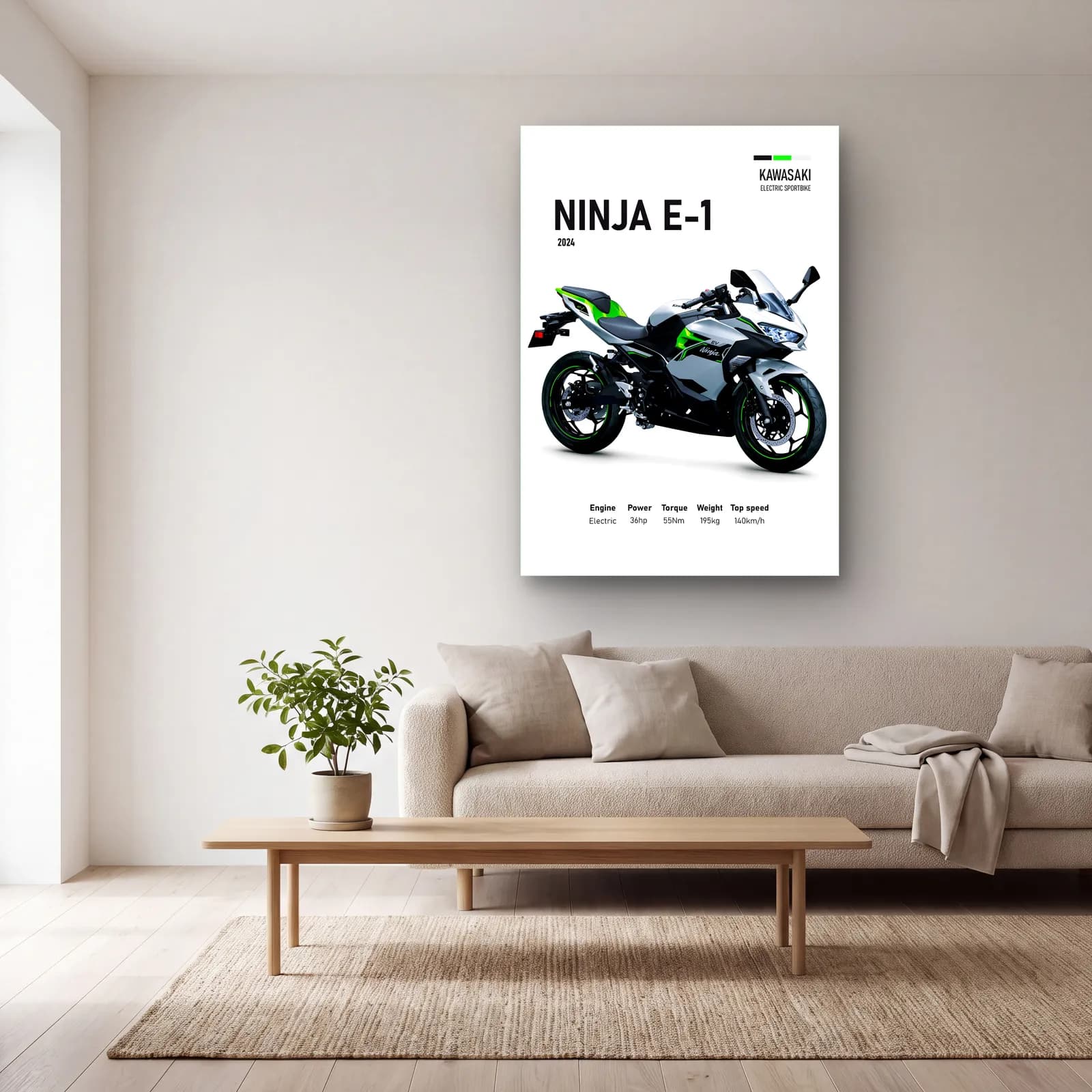 Kawasaki Ninja E-1 2024 cam tablo — açık renk salonda