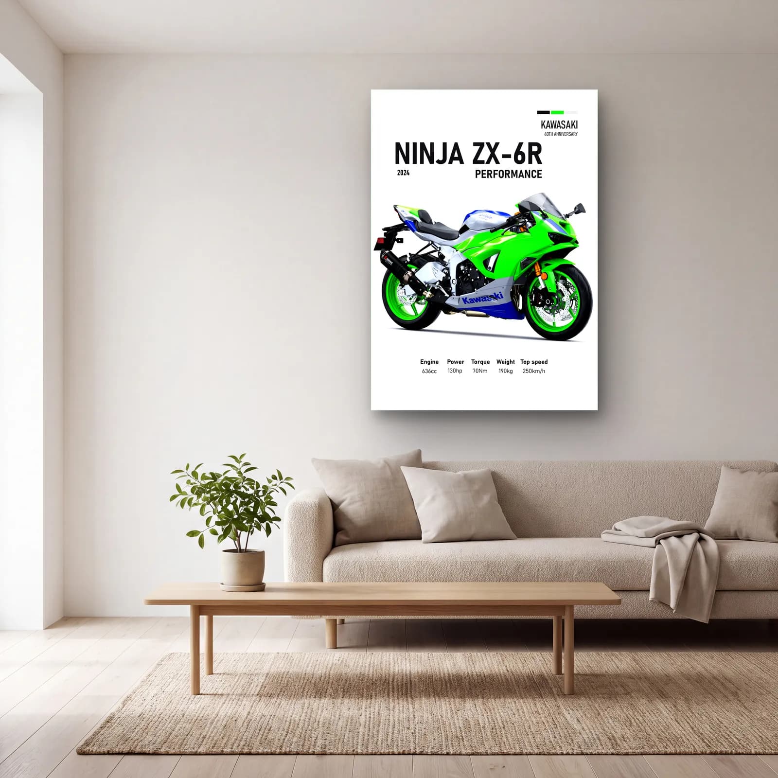 Kawasaki Ninja ZX-6R Performance 2024 cam tablo — açık renk salonda