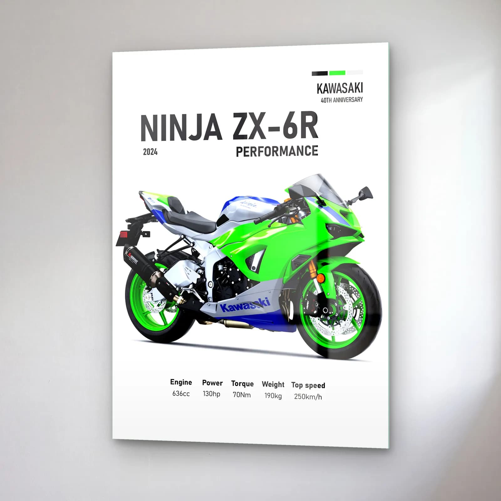 Kawasaki Ninja ZX-6R Performance 2024 cam tablo — sağ açıdan görünüm