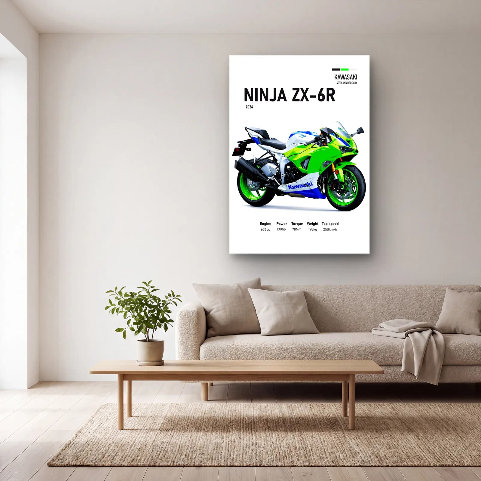 Kawasaki Ninja ZX-6R 2024 cam tablo — açık renk salonda