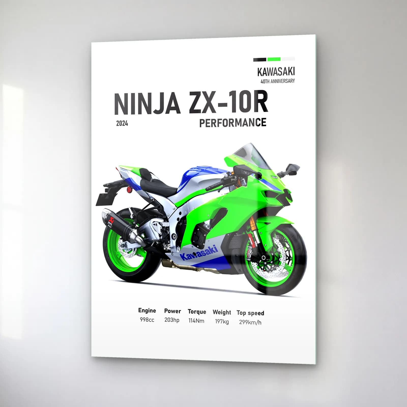 Kawasaki Ninja ZX-10R Performance 2024 cam tablo — sağ açıdan görünüm
