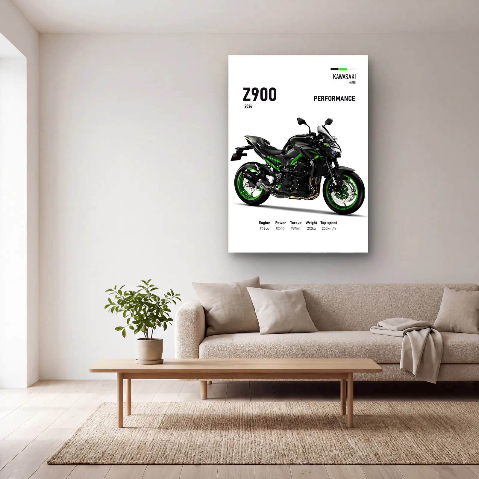 Kawasaki Z900 Performance 2024 cam tablo — açık renk salonda