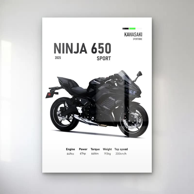 Kawasaki Ninja 650 Sport 2025 cam tablo — Beyaz zeminde siyah gri Kawasaki Ninja 650 Sport 2025 ve teknik veriler