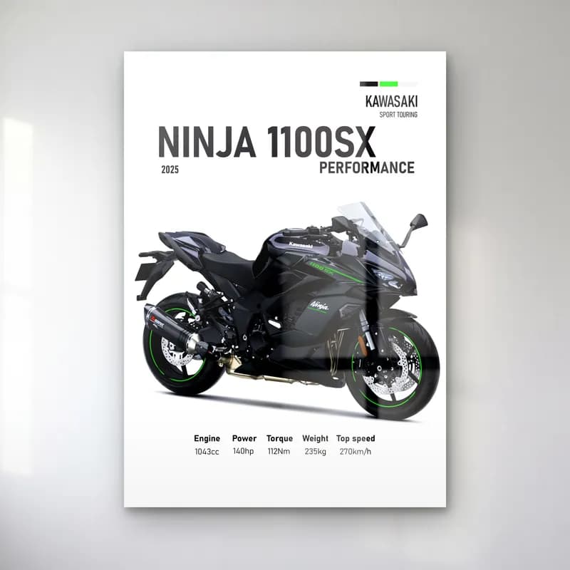 Kawasaki Ninja 1100SX Performance 2025 cam tablo — Beyaz zeminde siyah gri Kawasaki Ninja 1100SX Performance 2025 ve teknik veriler
