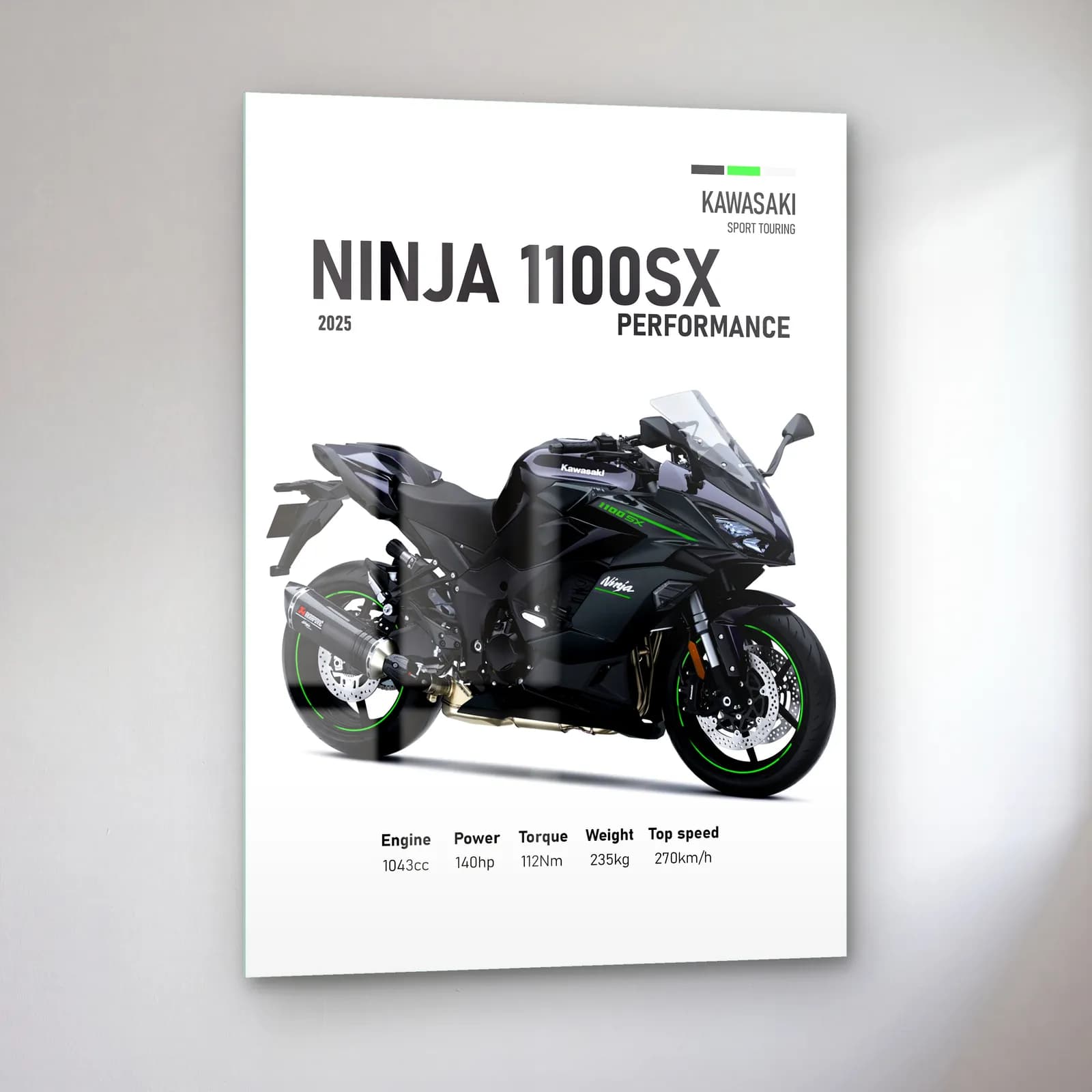 Kawasaki Ninja 1100SX Performance 2025 cam tablo — sol açıdan görünüm