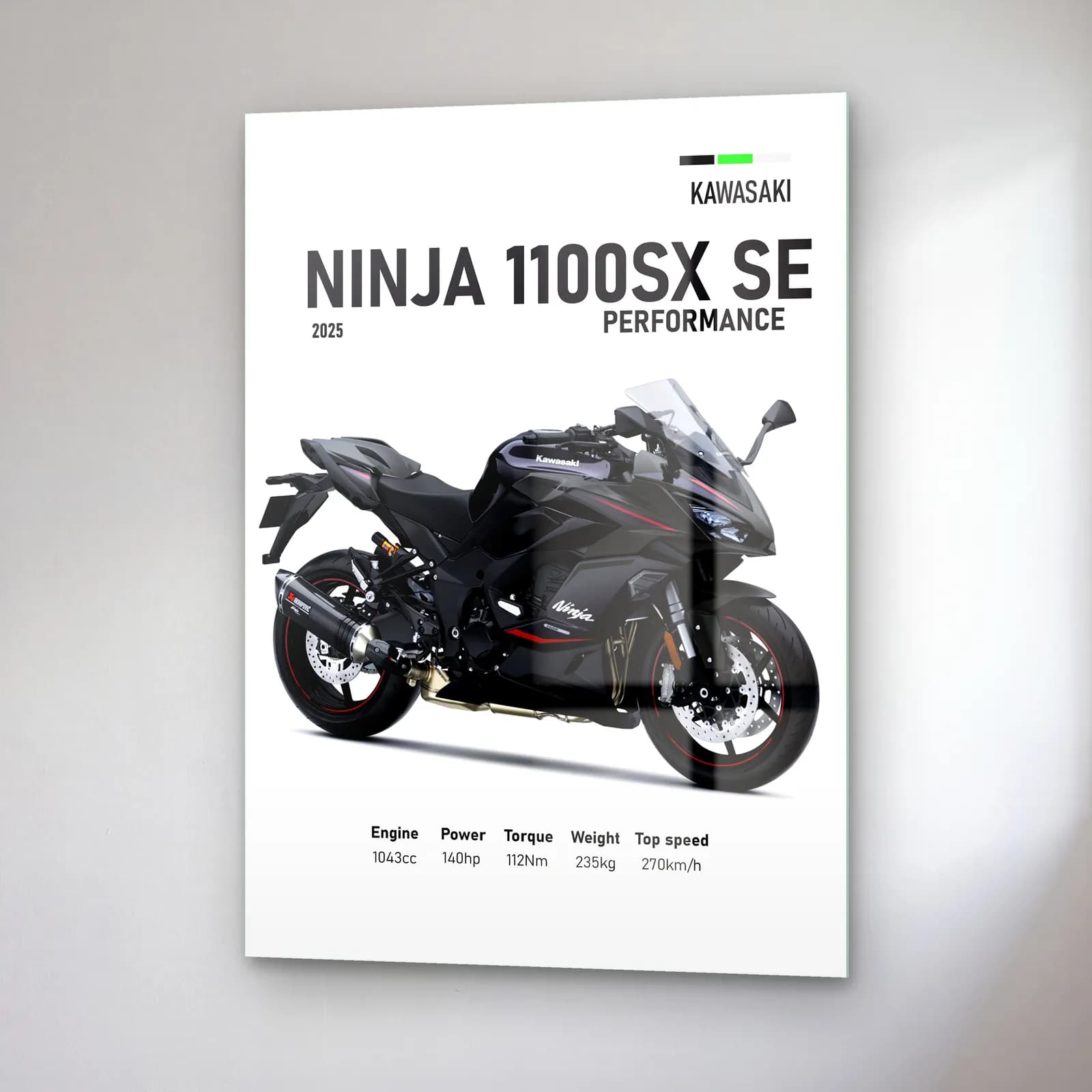 Kawasaki Ninja 1100SX SE Performance 2025 cam tablo — sağ açıdan görünüm
