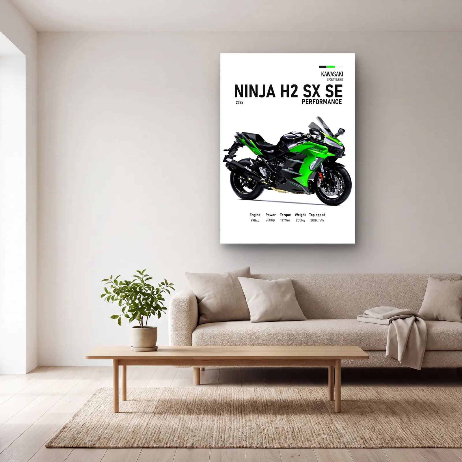 Ninja H2 SX SE Performance 2025 cam tablo — açık renk salonda
