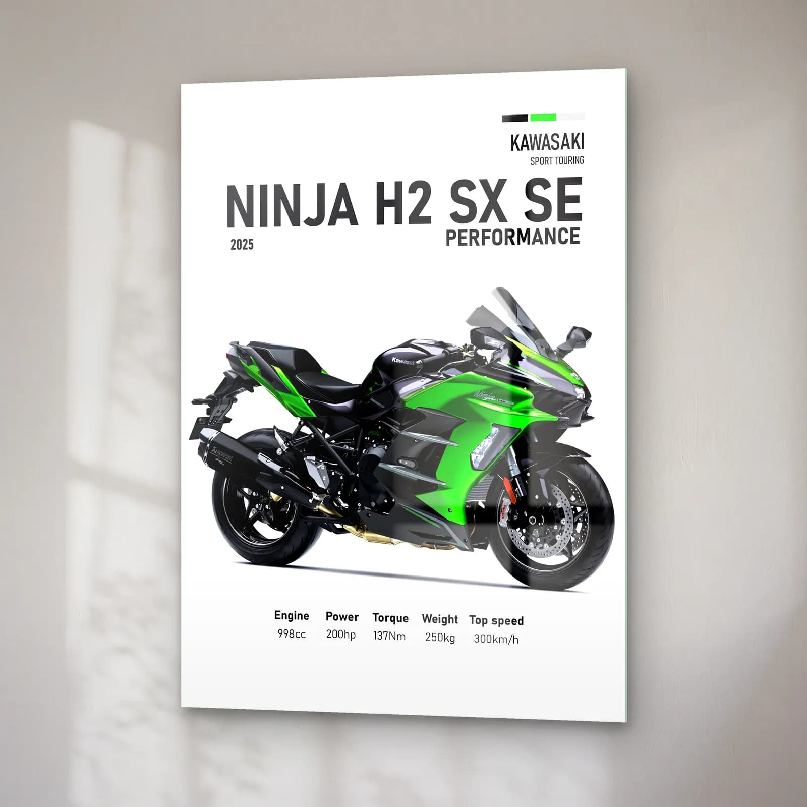 Ninja H2 SX SE Performance 2025 cam tablo — sağ açıdan görünüm