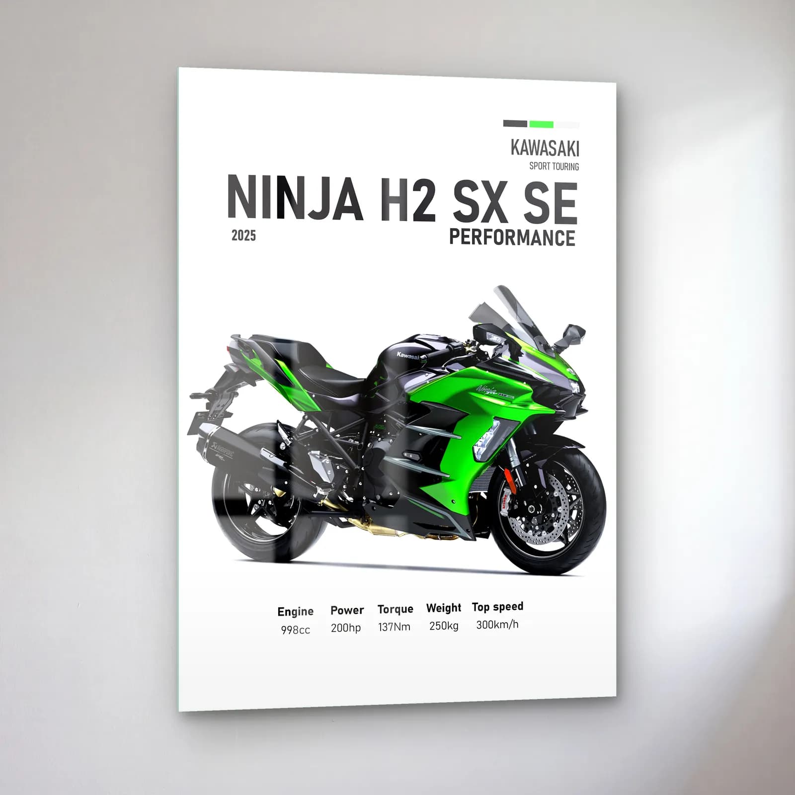 Ninja H2 SX SE Performance 2025 cam tablo — sol açıdan görünüm