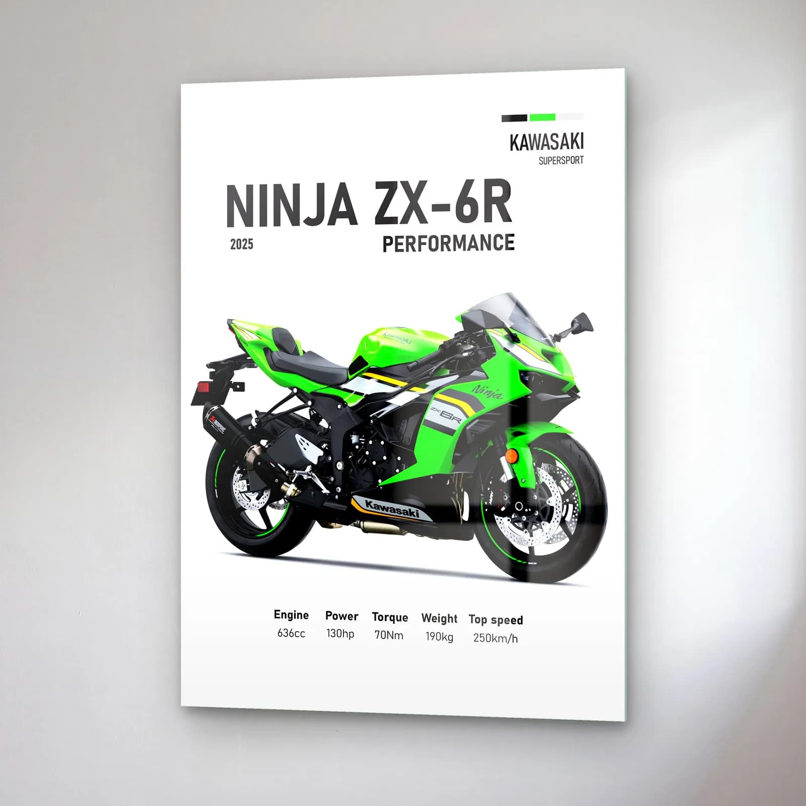 Kawasaki Ninja ZX-6R Performance 2025 cam tablo — sağ açıdan görünüm