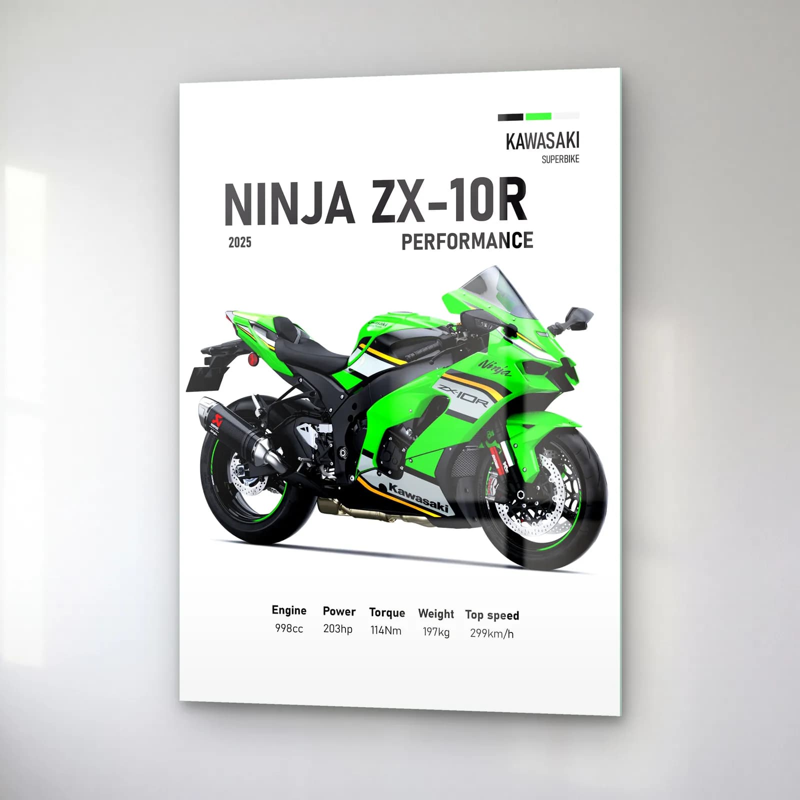 Kawasaki Ninja ZX-10R Performance 2025 cam tablo — sağ açıdan görünüm
