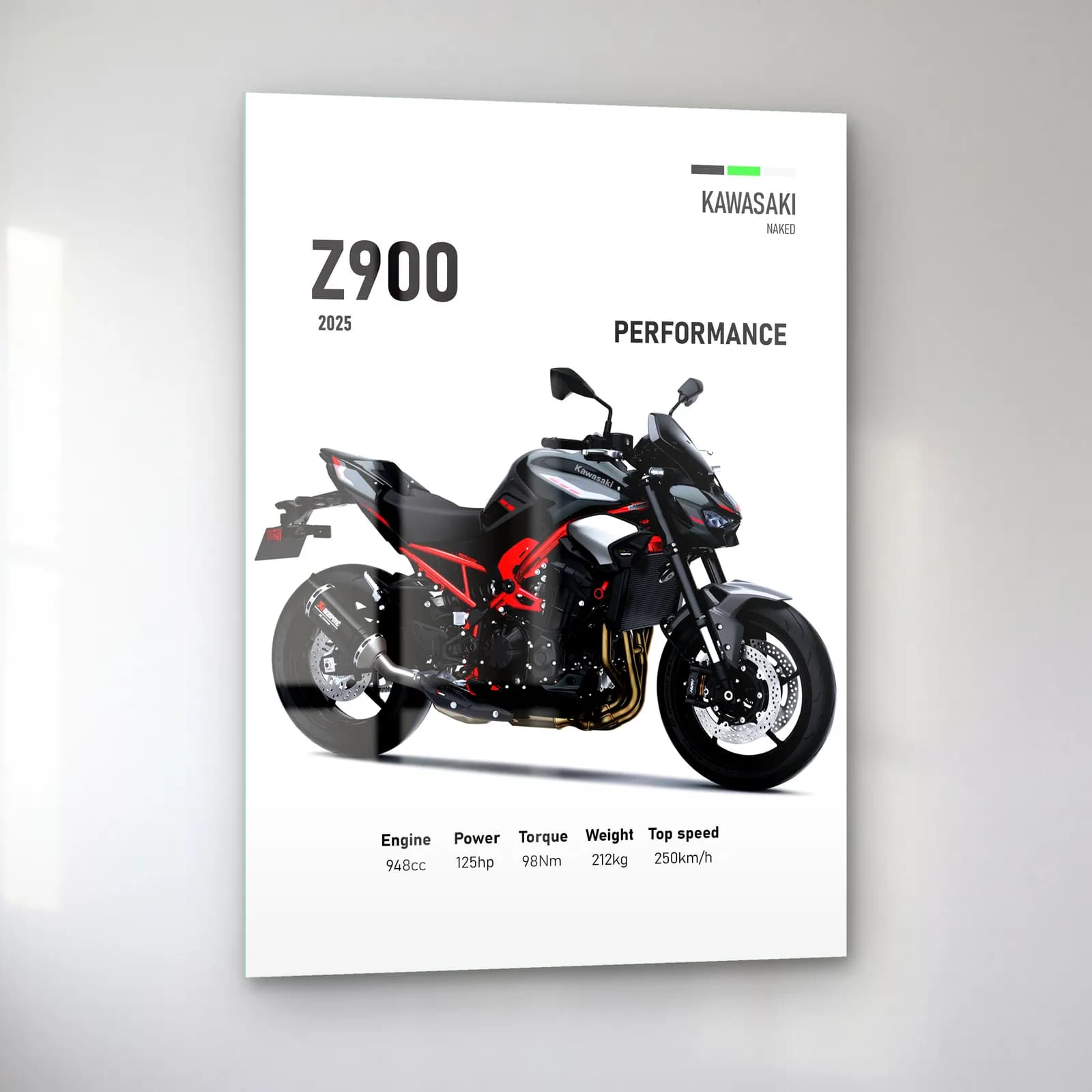 Kawasaki Z900 Performance 2025 cam tablo — sol açıdan görünüm