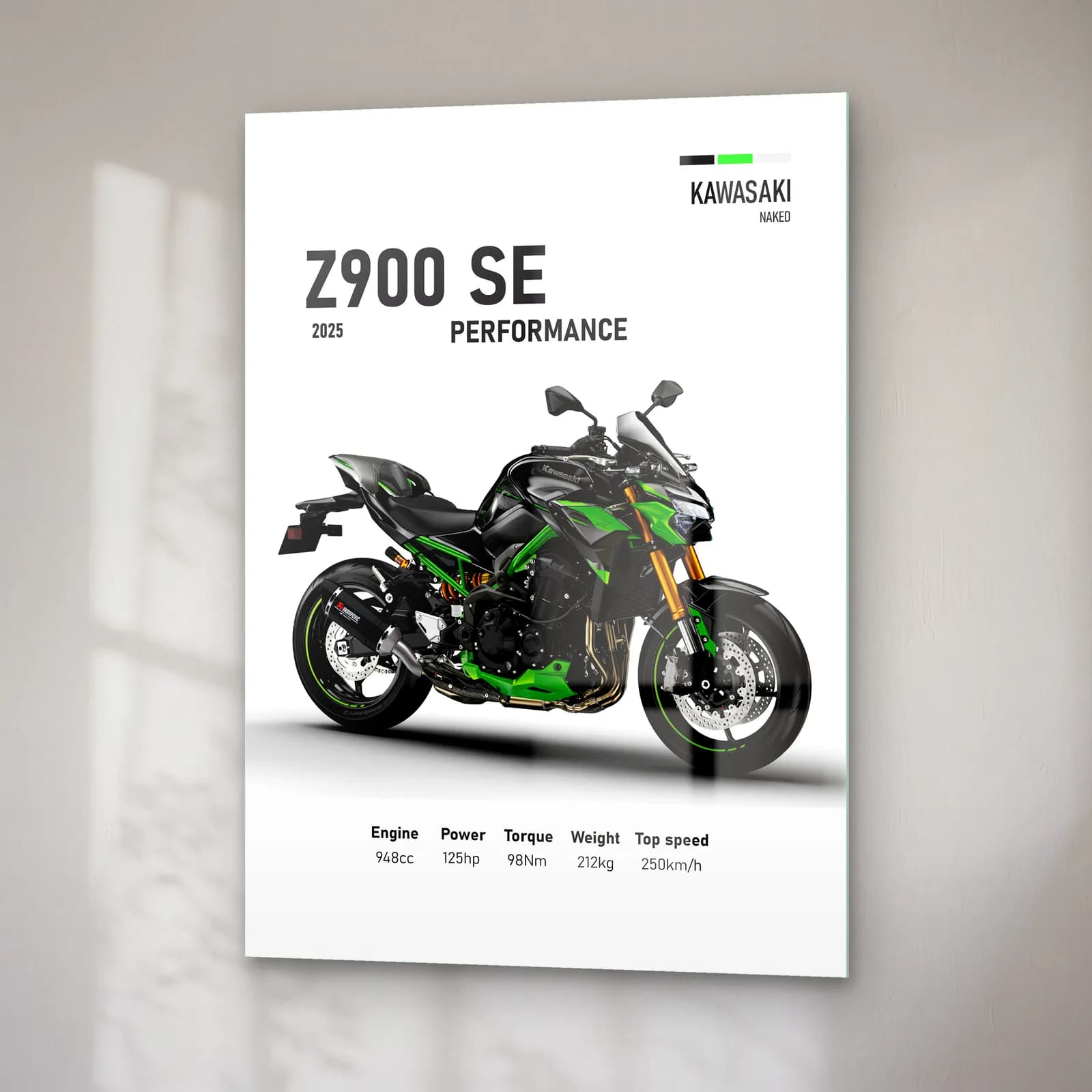 Kawasaki Z900 SE Performance 2025 cam tablo — sağ açıdan görünüm