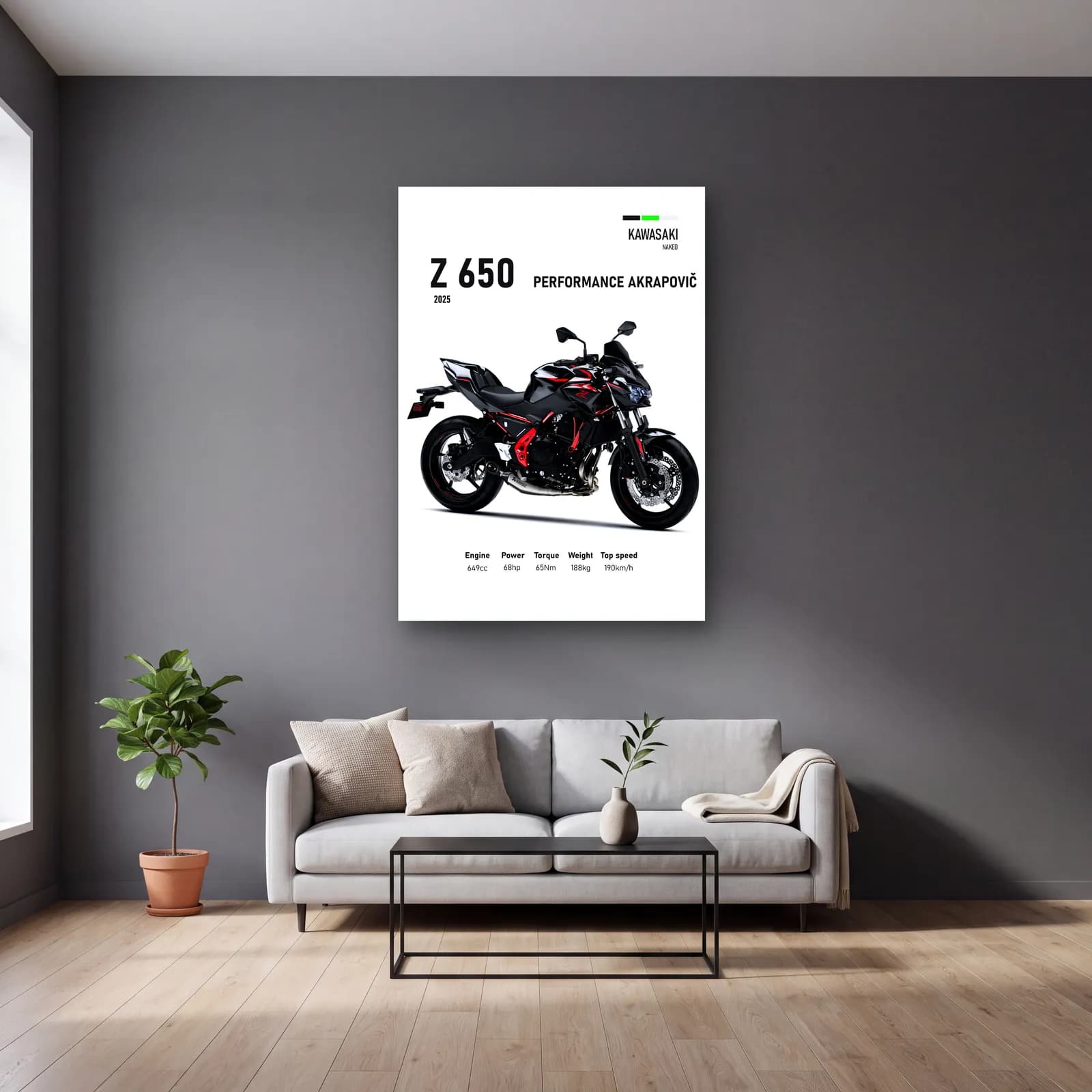 Kawasaki Z 650 Performance Akrapovič 2025 cam tablo — gri duvarlı salonda