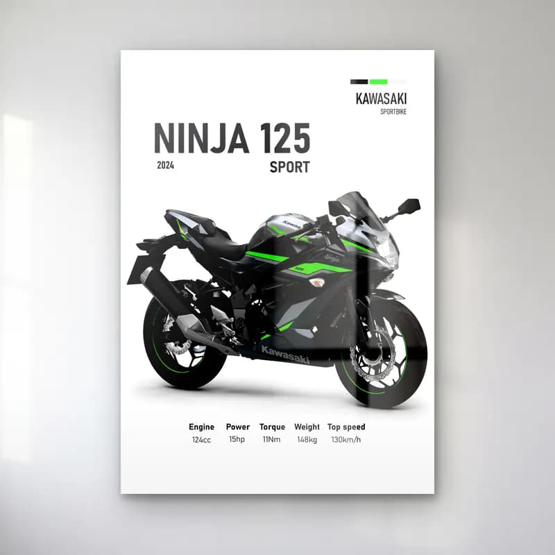Kawasaki Ninja 125 Sport 2024 cam tablo — Beyaz zeminde siyah gri Kawasaki Ninja 125 Sport 2024 ve teknik veriler