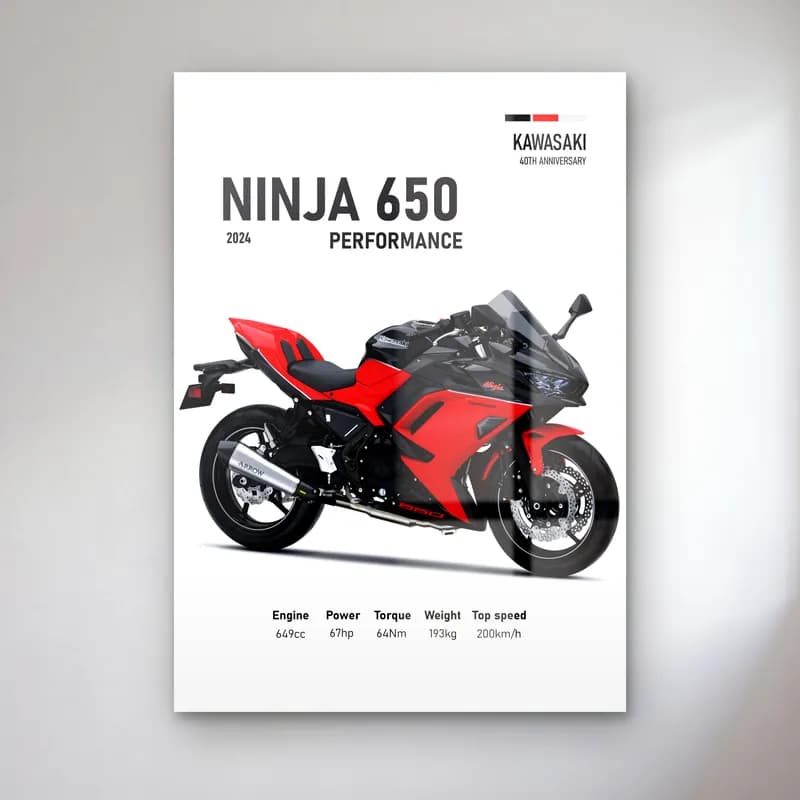 Kawasaki Ninja 650 Performance 2024 Kırmızı cam tablo — Beyaz zeminde kırmızı siyah Kawasaki Ninja 650 Performance 2024 ve teknik veriler