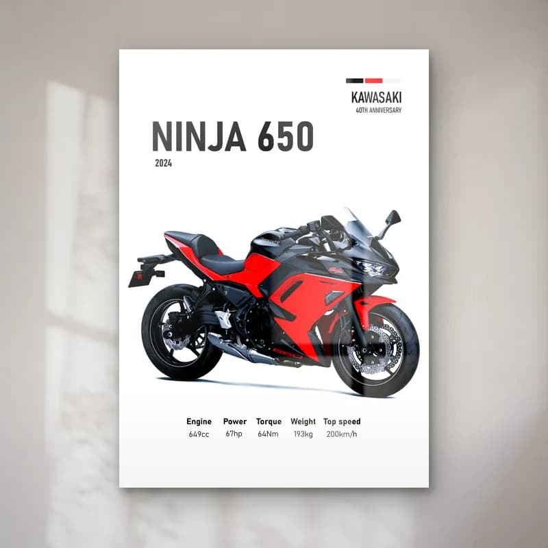 Kawasaki Ninja 650 2024 Kırmızı cam tablo — Beyaz zeminde kırmızı siyah Kawasaki Ninja 650 2024 ve teknik veriler
