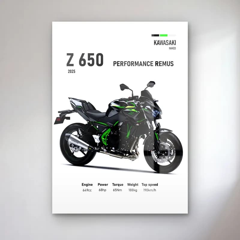 Kawasaki Z 650 Performance Remus 2025 cam tablo — Beyaz zeminde siyah yeşil Kawasaki Z 650 Performance Remus 2025 ve teknik veriler