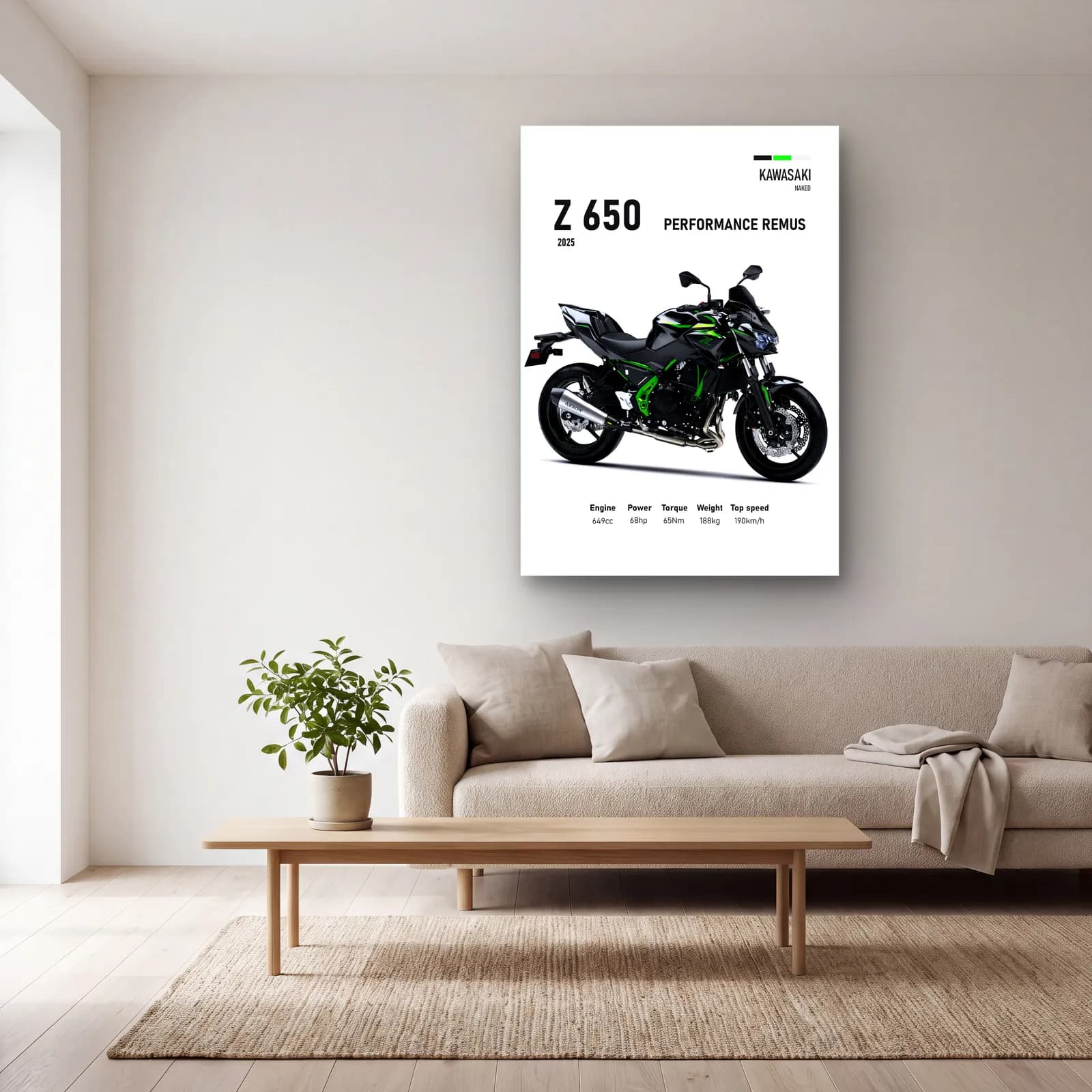 Kawasaki Z 650 Performance Remus 2025 cam tablo — açık renk salonda