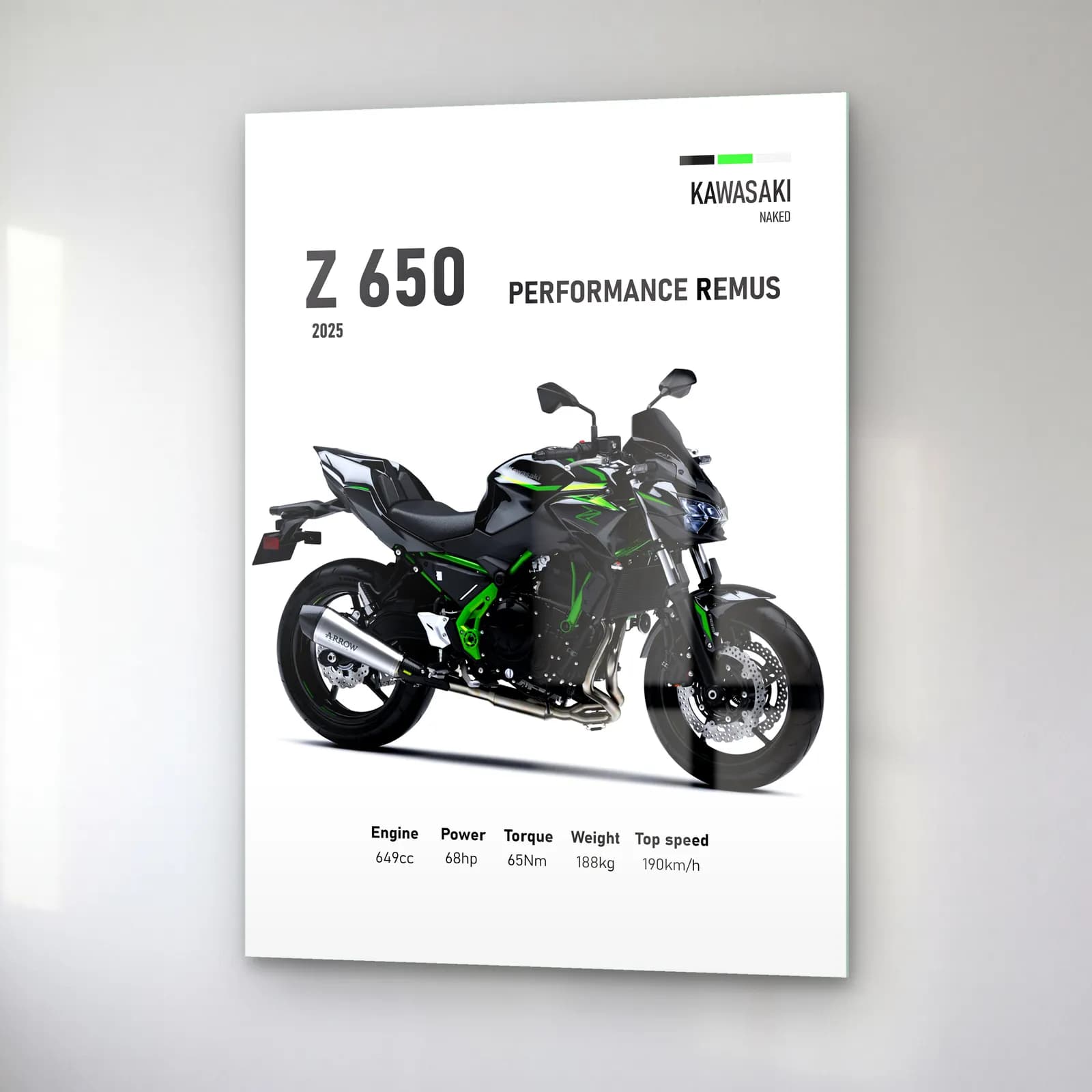 Kawasaki Z 650 Performance Remus 2025 cam tablo — sağ açıdan görünüm