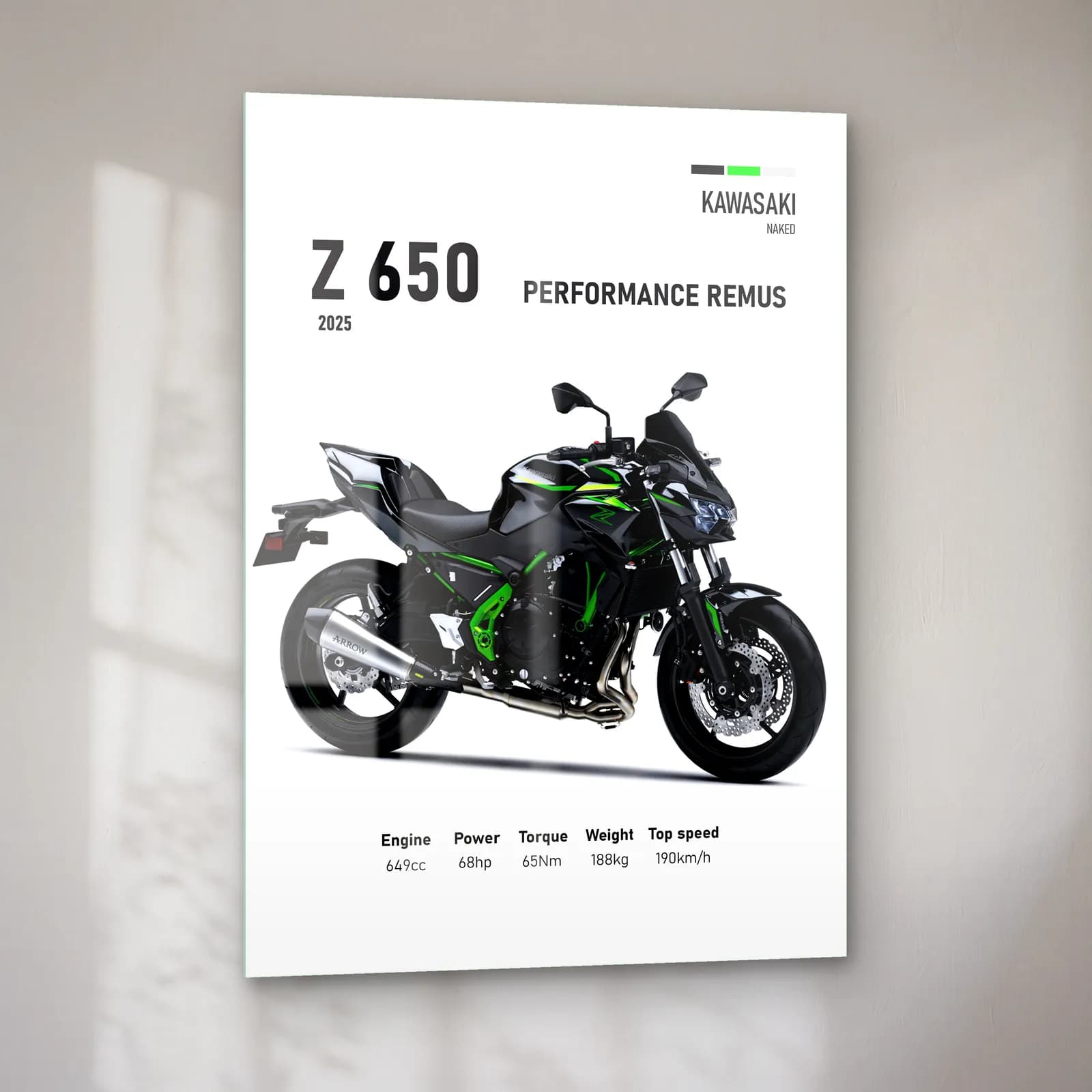 Kawasaki Z 650 Performance Remus 2025 cam tablo — sol açıdan görünüm